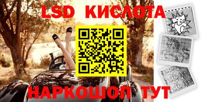 МДПВ Кингисепп