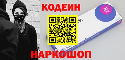 МДПВ Кингисепп
