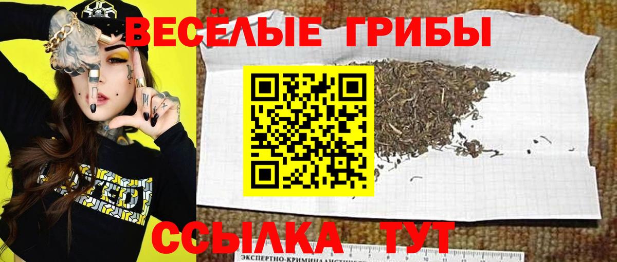 Галлюциногенные грибы ЛСД Лениногорск